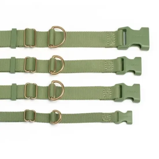 AWOO Pack Recycled Adjustable Dog Collar image {3}