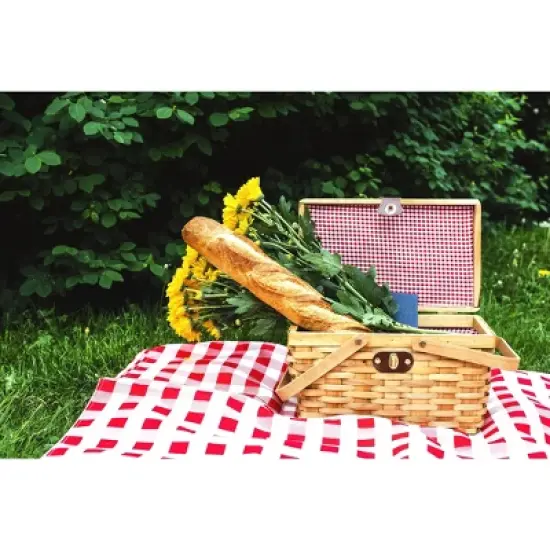 Vintiquewise Picnic Basket Gingham Lined with Folding Handles image {8}