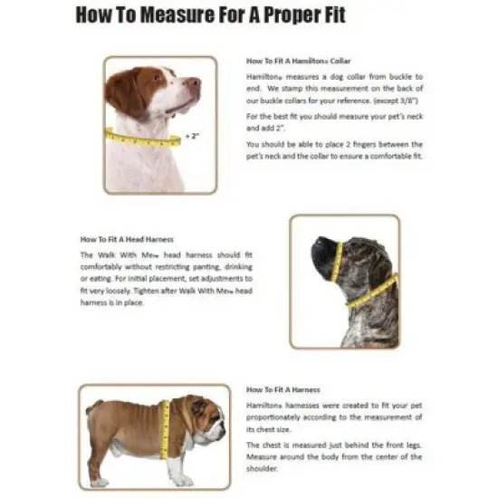 Hamilton Adjustable Classic Comfort Nylon Dog Harness, Medium Fit (20" to 30") Blue image {1}