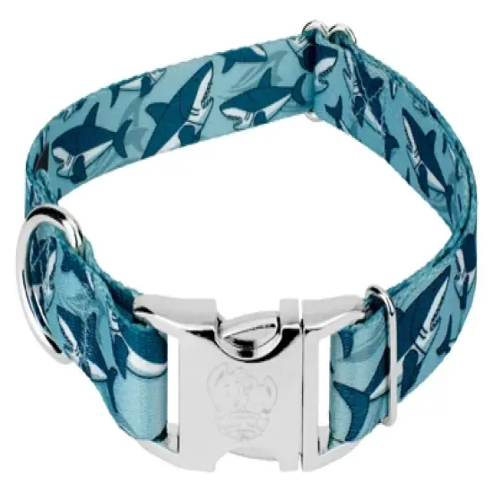 Country Brook Petz Premium Sharks Dog Collar image {5}