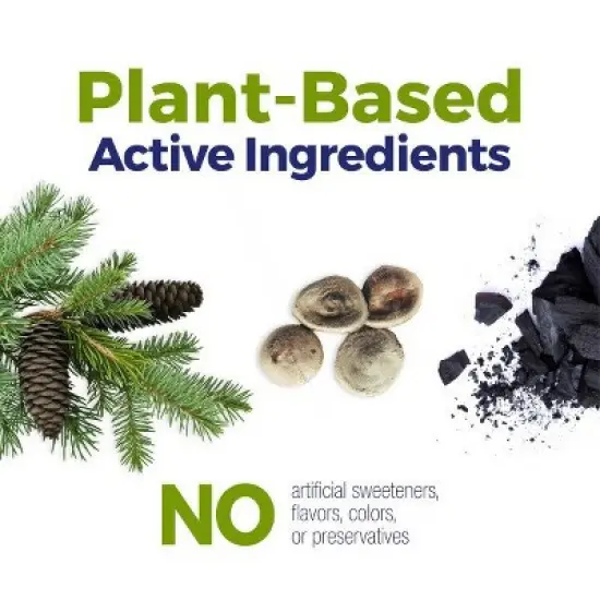 Acidil On the Go by Boiron Homeopathic Medicine for Heartburn Relief  -  160 Pellet image {8}