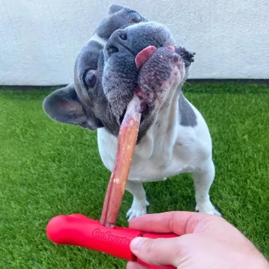 GoSports Chew Champ Bully Stick Holder for Dogs image {1}