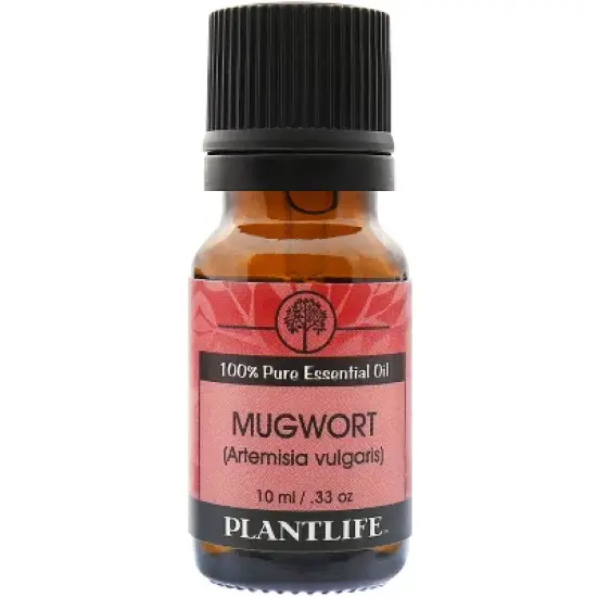 Plantlife Mugwort Essential Oil &ndash; 100% Pure & Therapeutic Grade &ndash; Natural, Undiluted & Steam-Distilled &ndash; No Additives or Fillers &ndash; 10ml Aromatherapy image {2}