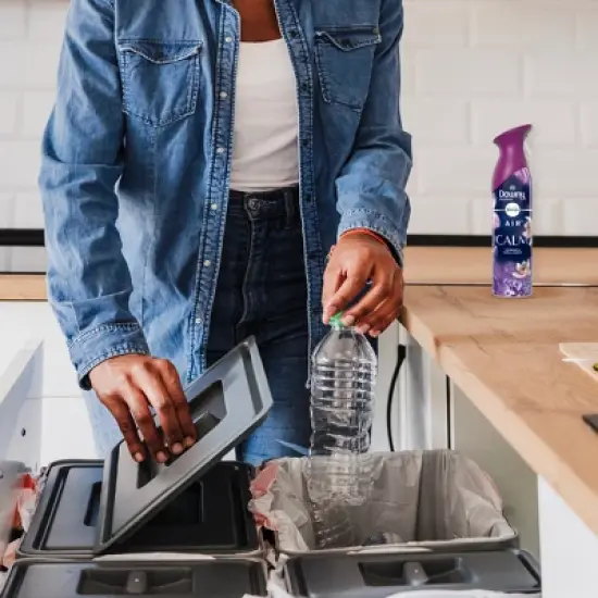 Febreze Downy Infusions Calm Air Mist -  Lavender & Vanilla Bean - 8.8oz image {1}