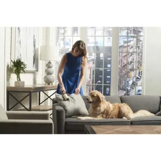 Evercare Pet Lint Roller 100 Sheet - 2pk image {2}