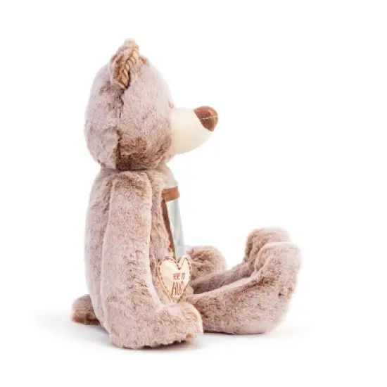 DEMDACO Here to Hug Bear image {4}