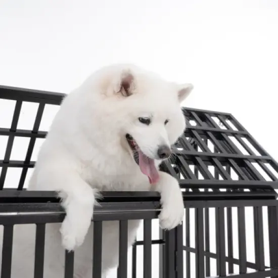 52" Heavy Duty Dog Crate Large Dog cage Strong Metal Dog Kennels and Crates for Large Dogs image {1}