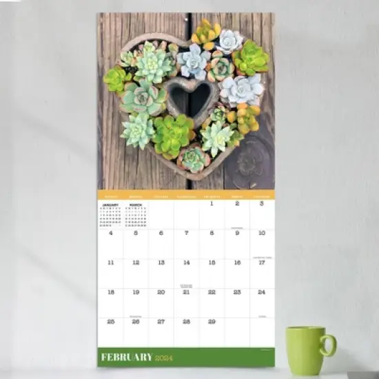 TF Publishing 2024 Wall Calendar 12"x12" Succulents image {2}