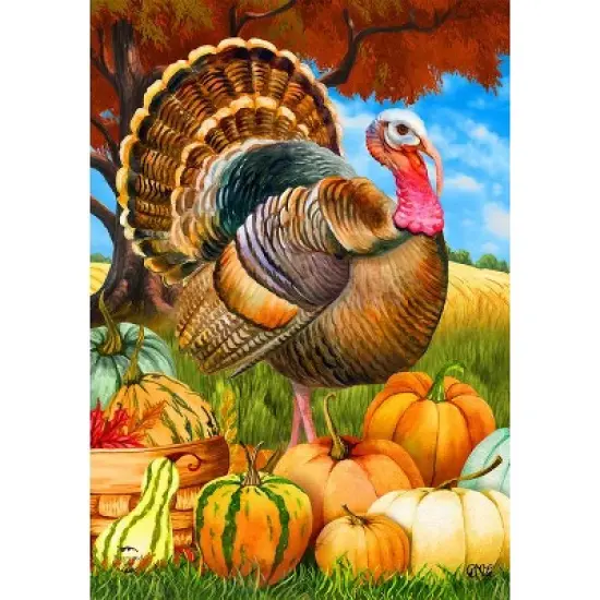 Briarwood Lane Fall Thanksgiving Garden Flag 12x18 For Outdoor Turkey and Pumpkins For Thanksgiving Garden Flag Flags For Outside image {2}