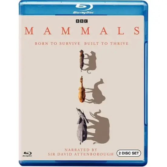 Mammals (Blu-ray)(2024) image {1}