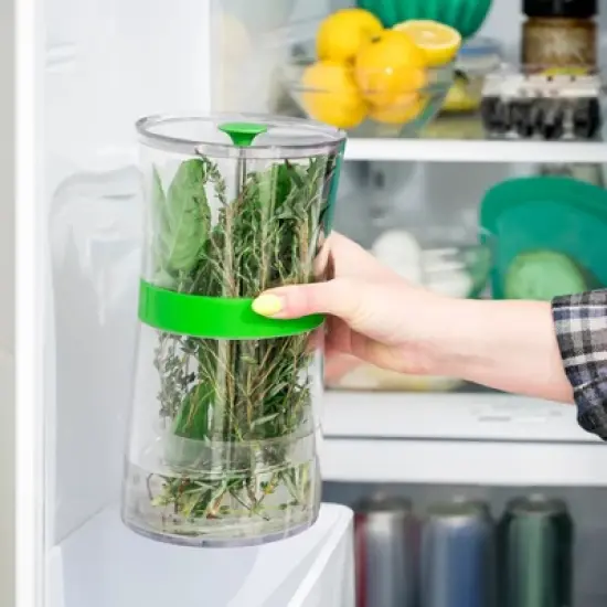 Cuisipro Original Herb Keeper Keeps Herbs Fresh Storage Container image {4}