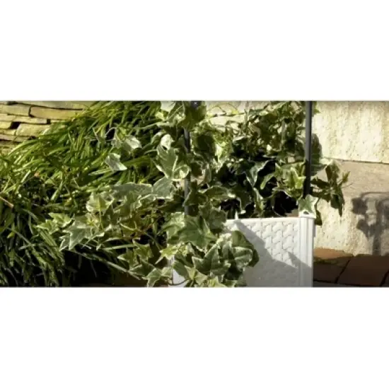 Ultimate Innovations 9.84" Wide 47pc Square Self-Watering Tower with Trellis  image {8}