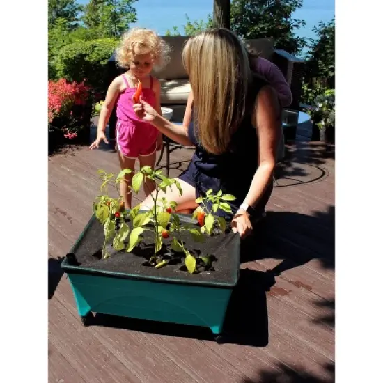 Emsco Little Pickers Raised Bed Children's Grow Box Rectangular Outdoor Planter Teal Green 24"x20"x30": Kids Gardening Accessory image {5}