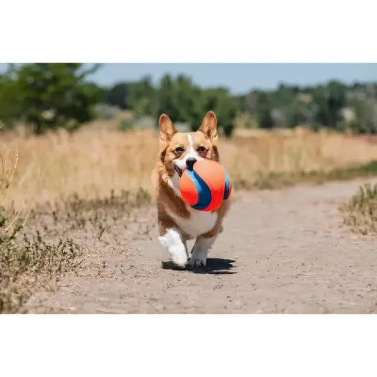 Chuckit! Kick Fetch Dog Ball Toy image {8}