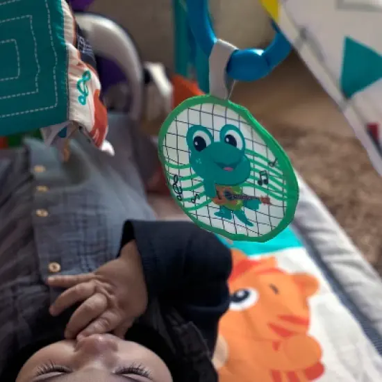 Baby Einstein 4-in-1 Kickin' Tunes Music and Language Discovery Play Gym image {12}