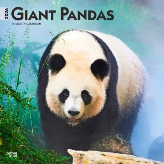 BrownTrout Giant Pandas 2026 12"x24" Hanging Square Wall Calendar Plastic-Free image {9}