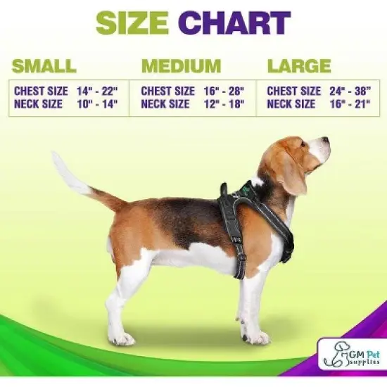 Gm Harness Leash Poo Bag Holder Set image {1}