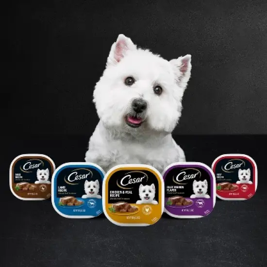 Cesar Steak, Beef, Gravy and Red Meat Flavor Classic Loaf in Sauce Small Breed Wet Dog Food - 3.5oz image {8}