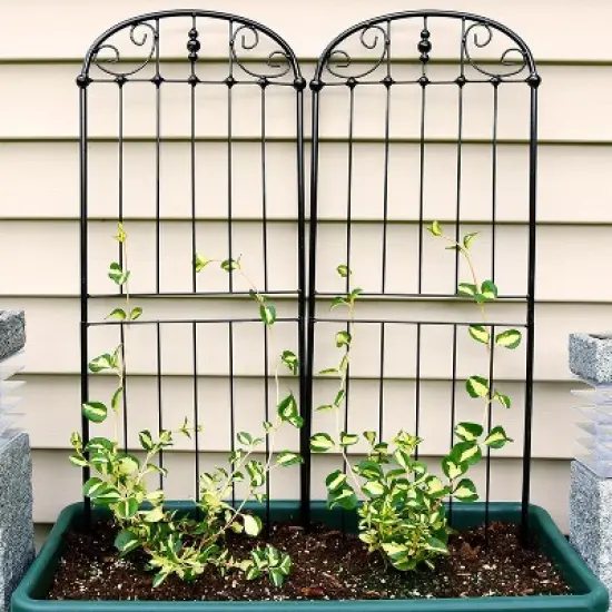 Sunnydaze Metal Wire Traditional Garden Trellis for Climbing Plants and Flowers - 32" H - Black - 2-Pack image {1}
