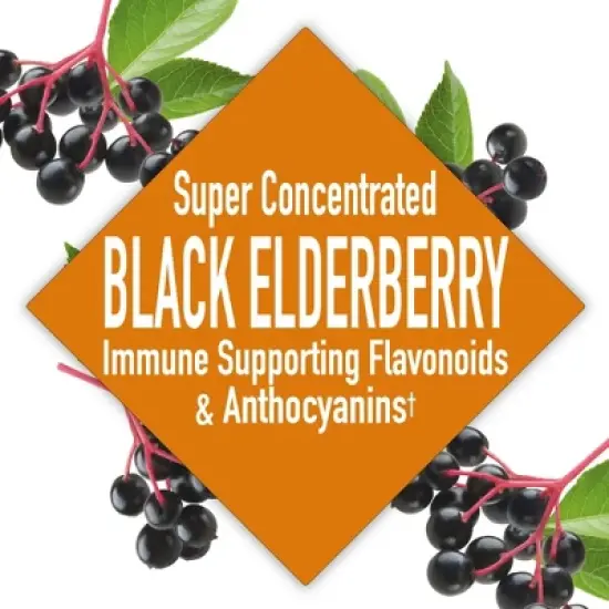 Windmill Black Elderberry 4,250 mg Liquid - 8 fl. oz image {3}