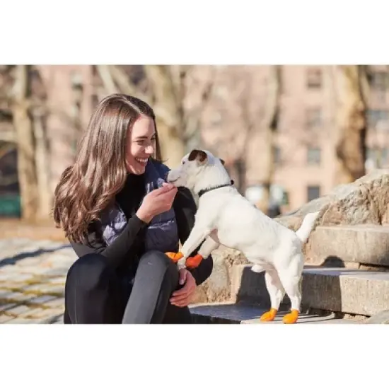 Pawz 12pc Rubber Dog Boots image {6}