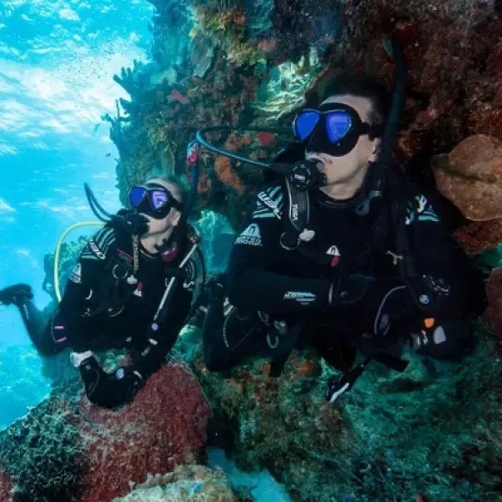 Tusa Hyperdry Elite II Dry Top Snorkel image {4}