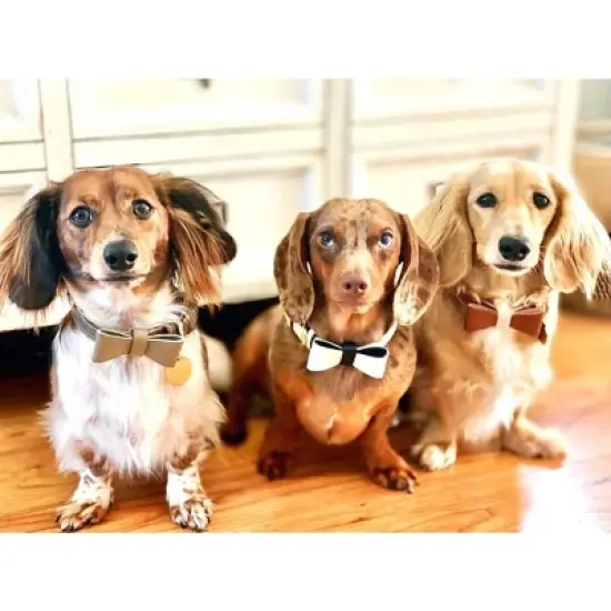 PoisePup &ndash; Luxury Pet Dog Bow Tie &ndash; Soft Premium Leather Bowtie for Small and Large Dogs - Hot Marine image {2}