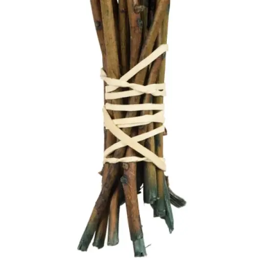 Vickerman 16-22" Natural Botanicals Salal Foliage Bunch image {3}