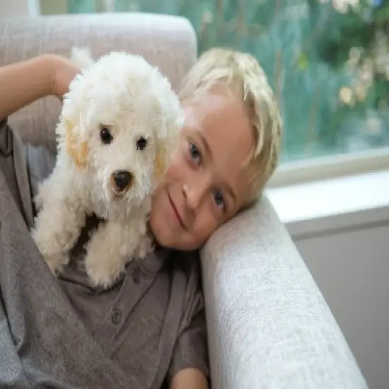 Bearington Bisquit Plush Labradoodle Stuffed Animal Puppy Dog, 13 Inch image {1}