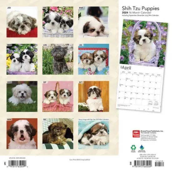 Browntrout 2024 Wall Calendar 12"x12" Shih Tzu image {1}