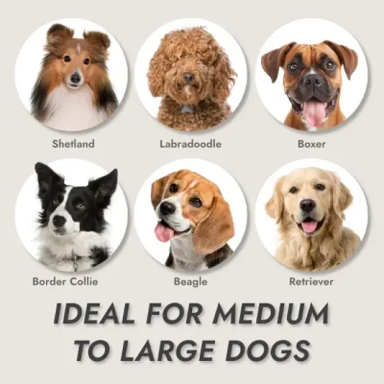 KONG Non-Slip Grip Large Slicker Dog Grooming Brush image {5}