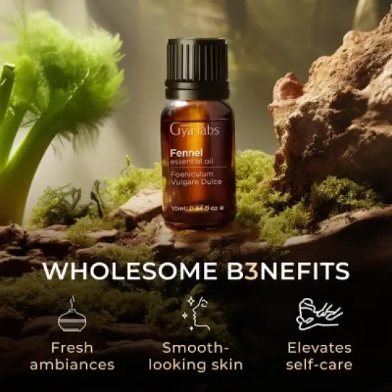Gya Labs Fennel Essential Oil 0.34 Fl Oz - Sweet Peppery Refreshing Scent image {4}