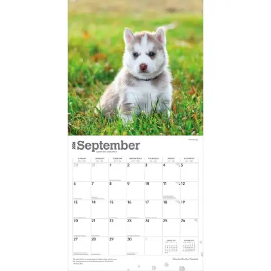 BrownTrout Siberian Husky Puppies 2026 12"x24" Hanging Square Wall Calendar Plastic-Free image {3}