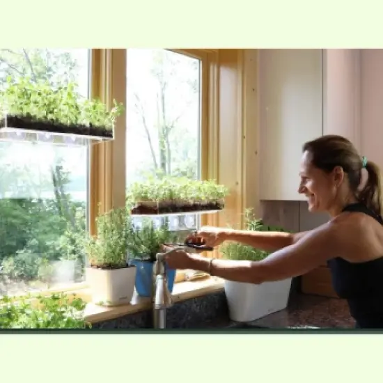 Window Garden Seed Starter Soil Mix for Indoor and Outdoor Planting image {1}