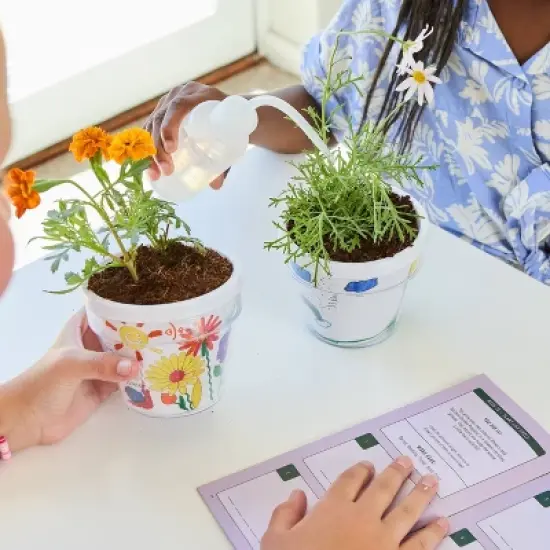 Garden Republic Jr. Crayola Color and Plant Starter Grow image {6}