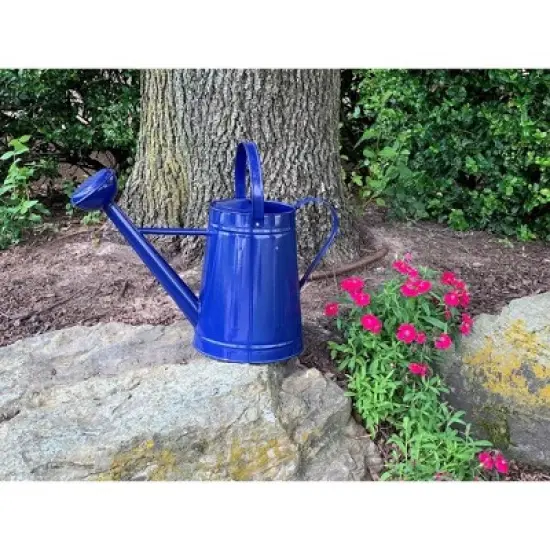 Tierra Garden 2.1 Gallon Traditional Metal Watering Can image {1}