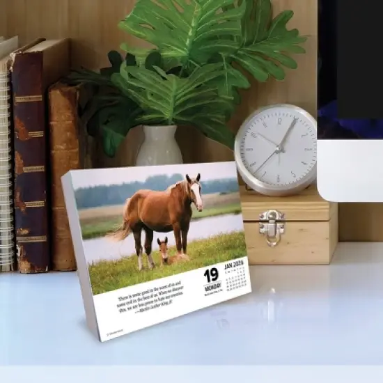 Willow Creek Press 2026 What Horses Teach Us Box Calendar image {2}