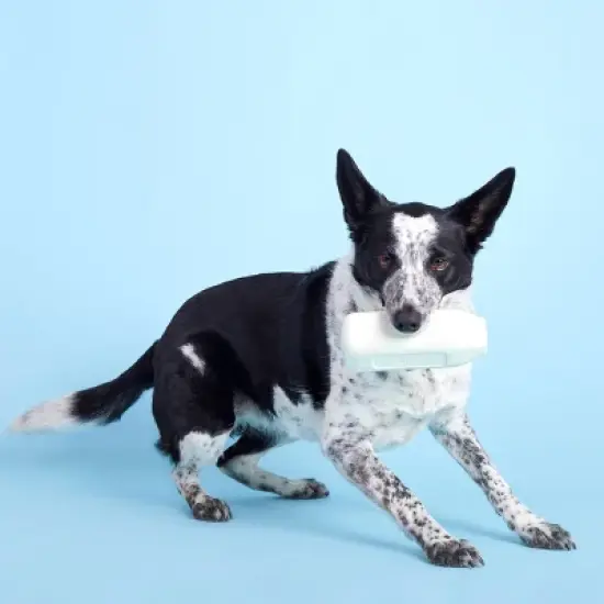 BARK Super Chewer Cow Dog Toy - Mad Cow image {4}