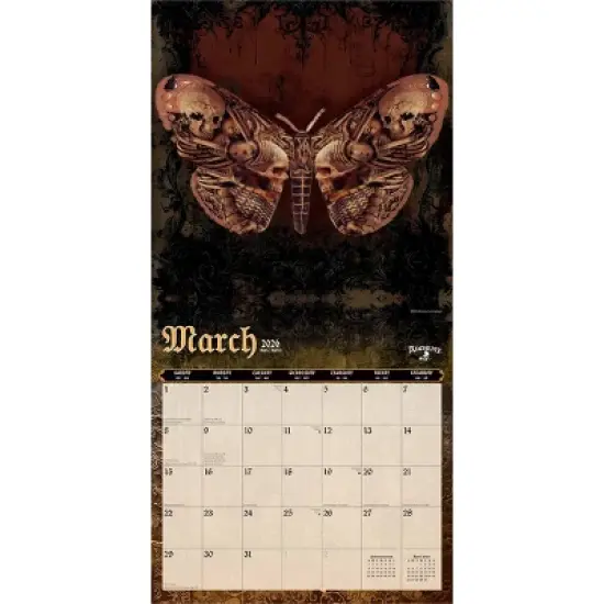 BrownTrout 2026 Gothic Alchemy 12"x24" Hanging Square Wall Calendar Plastic-Free image {2}