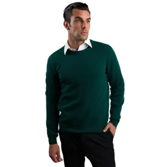 JENNIE LIU Men's 100% Pure Cashmere Long Sleeve Pullover Crewneck Sweater image {4}