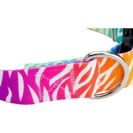Country Brook Petz 1 1/2 Inch Fashion Zebra Dog Collar image {3}