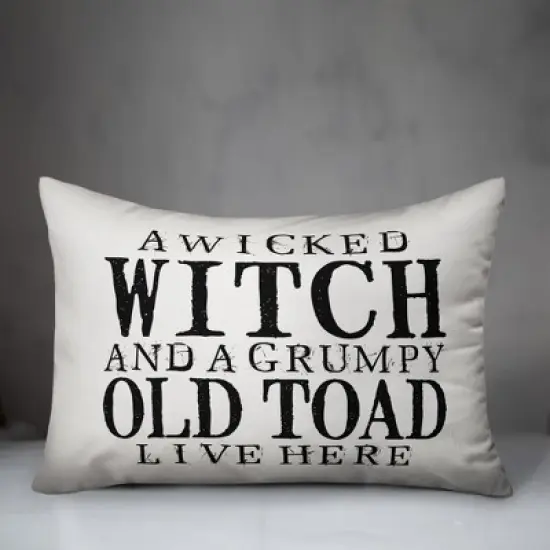 Creative Products A Wicked Witch and Grumpy Toad 14x20 Indoor / Outdoor Pillow image {1}
