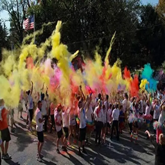 Chameleon Colors Holi Color Powder Party Box, 36-Piece Color Party Kit image {7}