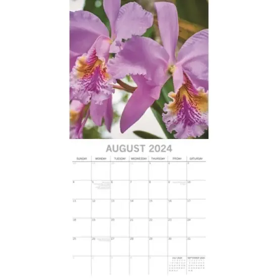 The Gifted Stationery 2024 Square Wall Calendar, Orchids, 16-Month Floral Theme with 180 Reminder Stickers (12x12 In) image {2}