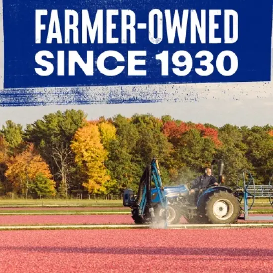 Ocean Spray Whole Berry Cranberry Sauce - 14oz image {5}