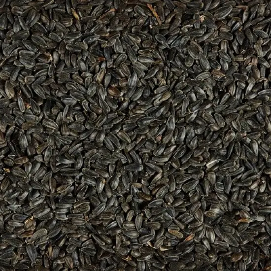 Kaytee Black Oil Sunflower Seed Bird Food - 10lbs image {3}