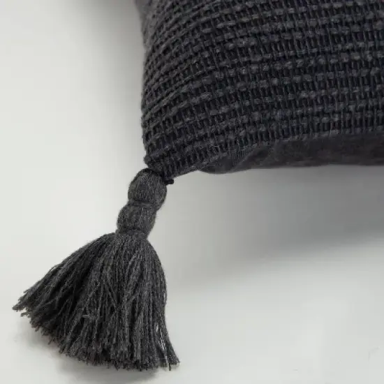 20"x20" Oversize Solid Striped Square Throw Pillow with Tassels Cover - Rizzy Home image {2}