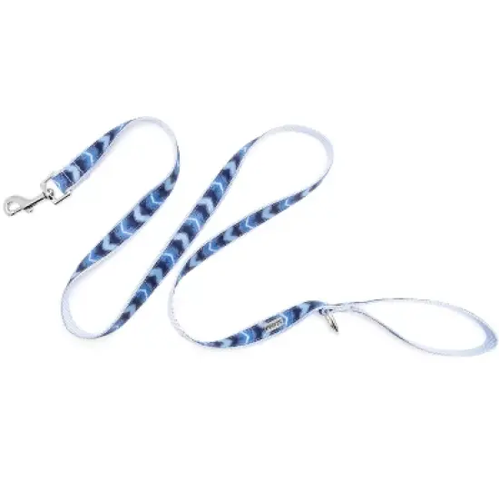 The Worthy Dog Ombre Dog Leash image {1}