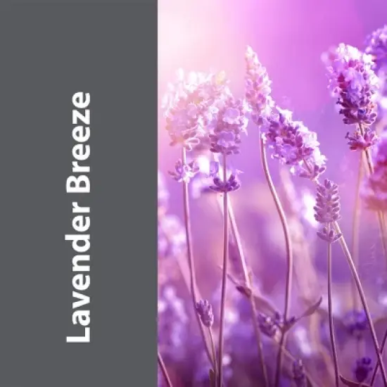 Zeiff Pro-Grade Multi-Purpose Enzyme Cleaner - Powerful Cleaning & Odor Eliminating Formula For Professional & Home Surfaces - 2 Gallon, Lavender image {4}