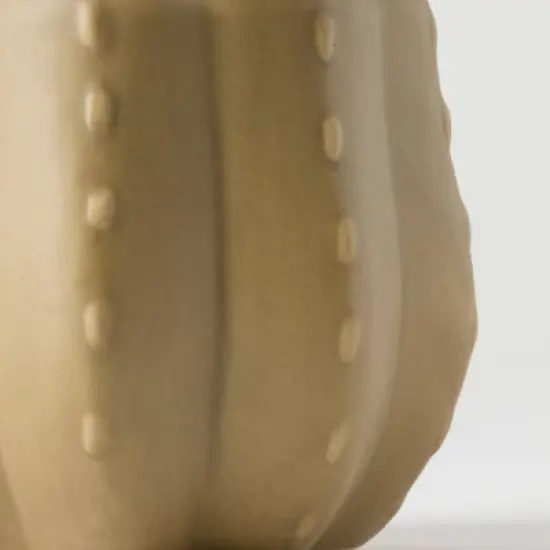 Pumped for Fall Brown Live Houseplant - Good Little Garden&trade; image {2}